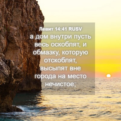 Picture 04 - Левит 14:41 RUSV - а дом внутри пусть весь - Bible Verse Picture