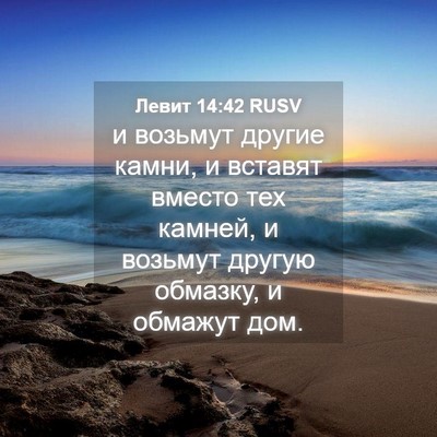 Picture 04 - Левит 14:42 RUSV - и возьмут другие камни, и - Bible Verse Picture