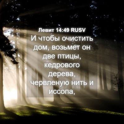 Picture 04 - Левит 14:49 RUSV - И чтобы очистить дом, - Bible Verse Picture