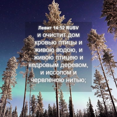 Picture 04 - Левит 14:52 RUSV - и очистит дом кровью птицы - Bible Verse Picture
