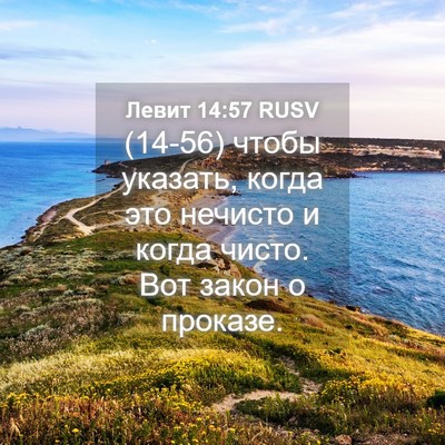 Picture 04 - Левит 14:57 RUSV - (14-56) чтобы указать, когда - Bible Verse Picture