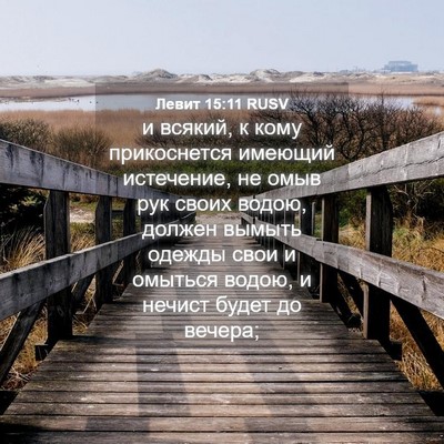 Picture 04 - Левит 15:11 RUSV - и всякий, к кому - Bible Verse Picture