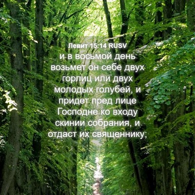 Picture 04 - Левит 15:14 RUSV - и в восьмой день возьмет он - Bible Verse Picture