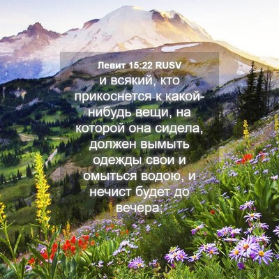 Picture 04 - Левит 15:22 RUSV - и всякий, кто прикоснется к - Bible Verse Picture