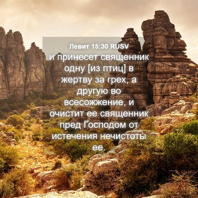 Picture 04 - Левит 15:30 RUSV - и принесет священник одну - Bible Verse Picture