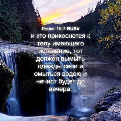 Picture 04 - Левит 15:7 RUSV - и кто прикоснется к телу - Bible Verse Picture
