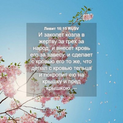 Picture 04 - Левит 16:15 RUSV - И заколет козла в жертву за - Bible Verse Picture