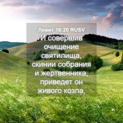 Picture 04 - Левит 16:20 RUSV - И совершив очищение - Bible Verse Picture