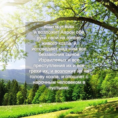 Picture 04 - Левит 16:21 RUSV - и возложит Аарон обе руки - Bible Verse Picture
