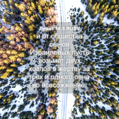 Picture 04 - Левит 16:5 RUSV - и от общества сынов - Bible Verse Picture