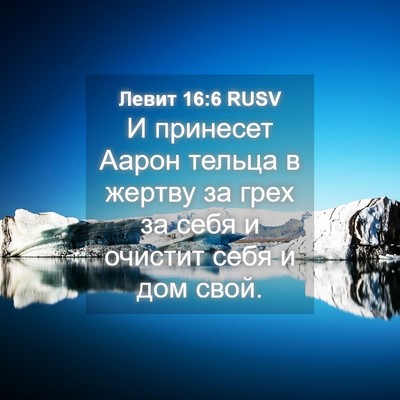 Picture 04 - Левит 16:6 RUSV - И принесет Аарон тельца в - Bible Verse Picture