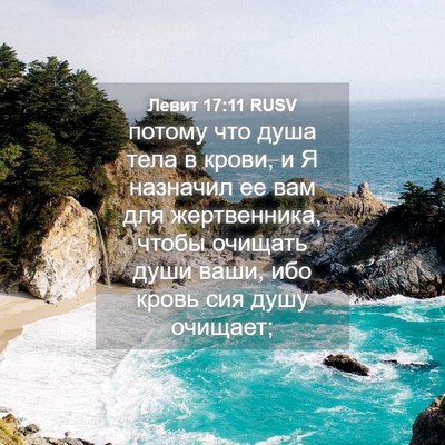 Picture 04 - Левит 17:11 RUSV - потому что душа тела в - Bible Verse Picture