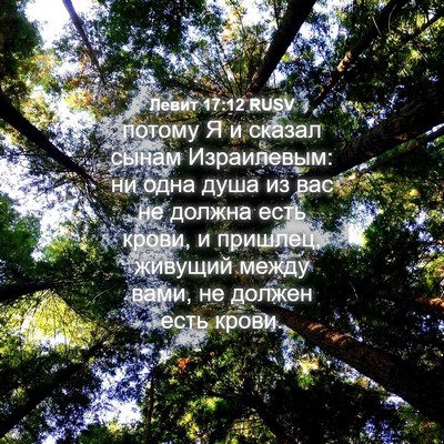 Picture 04 - Левит 17:12 RUSV - потому Я и сказал сынам - Bible Verse Picture