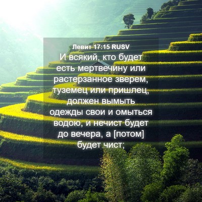 Picture 04 - Левит 17:15 RUSV - И всякий, кто будет есть - Bible Verse Picture