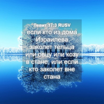 Picture 04 - Левит 17:3 RUSV - если кто из дома Израилева - Bible Verse Picture
