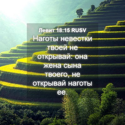 Picture 04 - Левит 18:15 RUSV - Наготы невестки твоей не - Bible Verse Picture