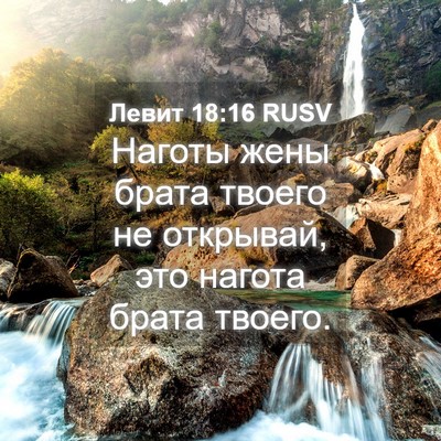 Picture 04 - Левит 18:16 RUSV - Наготы жены брата твоего - Bible Verse Picture