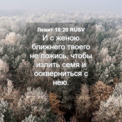 Picture 04 - Левит 18:20 RUSV - И с женою ближнего твоего - Bible Verse Picture