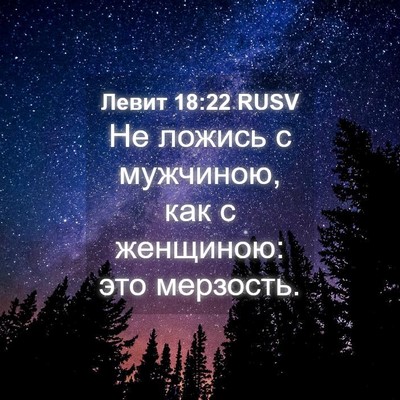 Picture 04 - Левит 18:22 RUSV - Не ложись с мужчиною, как с - Bible Verse Picture