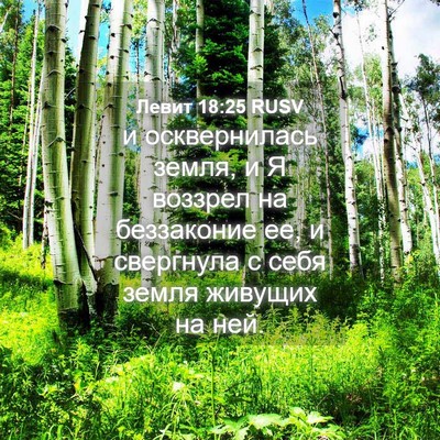 Picture 04 - Левит 18:25 RUSV - и осквернилась земля, и Я - Bible Verse Picture