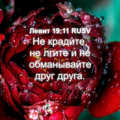 Picture 04 - Левит 19:11 RUSV - Не крадите, не лгите и не - Bible Verse Picture