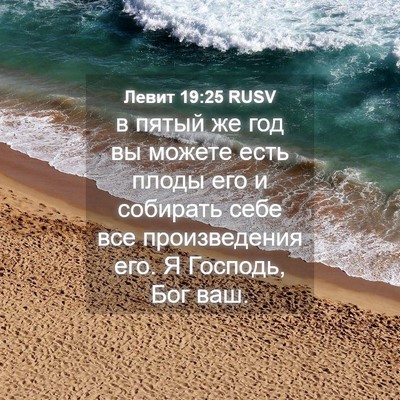 Picture 04 - Левит 19:25 RUSV - в пятый же год вы можете - Bible Verse Picture