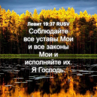 Picture 04 - Левит 19:37 RUSV - Соблюдайте все уставы Мои - Bible Verse Picture