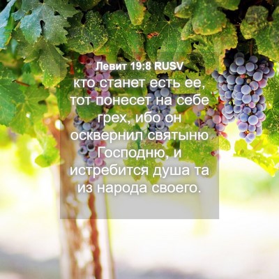Picture 04 - Левит 19:8 RUSV - кто станет есть ее, тот - Bible Verse Picture