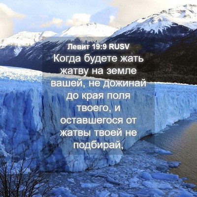 Picture 04 - Левит 19:9 RUSV - Когда будете жать жатву на - Bible Verse Picture