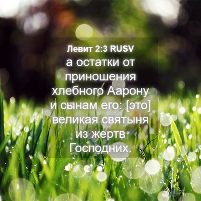 Picture 04 - Левит 2:3 RUSV - а остатки от приношения - Bible Verse Picture