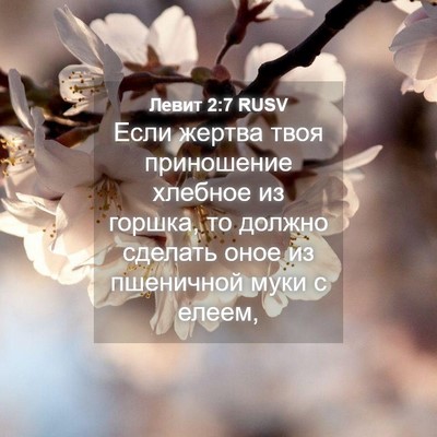 Picture 04 - Левит 2:7 RUSV - Если жертва твоя - Bible Verse Picture