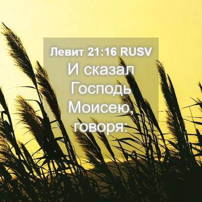 Picture 04 - Левит 21:16 RUSV - И сказал Господь Моисею, - Bible Verse Picture