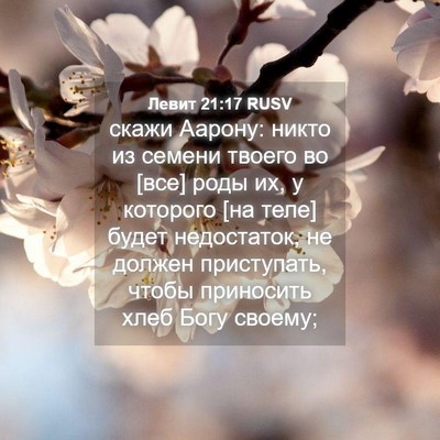 Picture 04 - Левит 21:17 RUSV - скажи Аарону: никто из - Bible Verse Picture