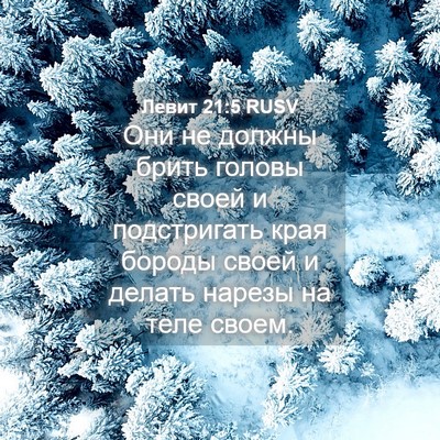 Picture 04 - Левит 21:5 RUSV - Они не должны брить головы - Bible Verse Picture