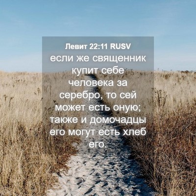 Picture 04 - Левит 22:11 RUSV - если же священник купит - Bible Verse Picture