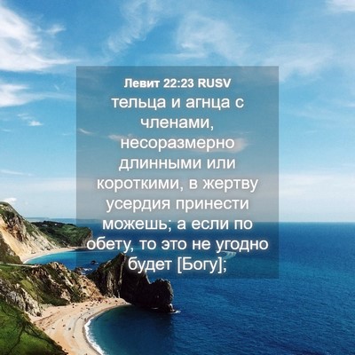 Picture 04 - Левит 22:23 RUSV - тельца и агнца с членами, - Bible Verse Picture