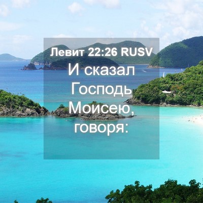 Picture 04 - Левит 22:26 RUSV - И сказал Господь Моисею, - Bible Verse Picture