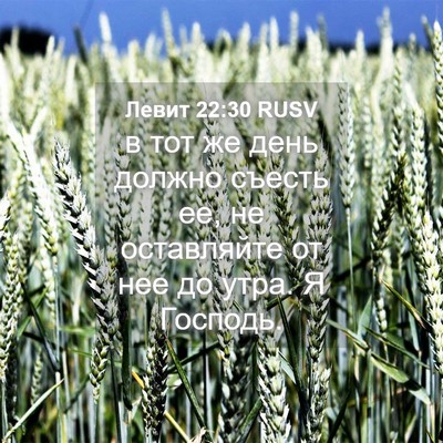 Picture 04 - Левит 22:30 RUSV - в тот же день должно съесть - Bible Verse Picture
