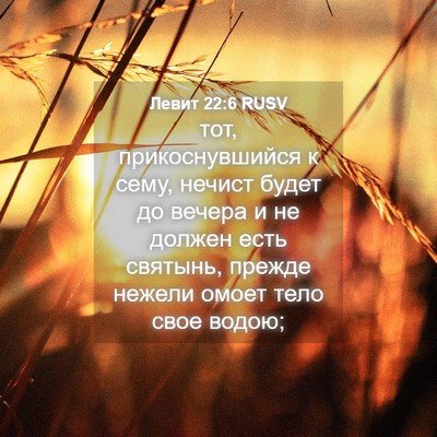 Picture 04 - Левит 22:6 RUSV - тот, прикоснувшийся к сему, - Bible Verse Picture