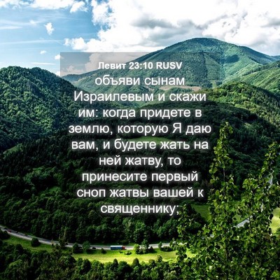 Picture 04 - Левит 23:10 RUSV - объяви сынам Израилевым и - Bible Verse Picture
