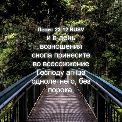 Picture 04 - Левит 23:12 RUSV - и в день возношения снопа - Bible Verse Picture