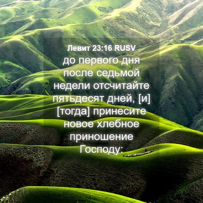 Picture 04 - Левит 23:16 RUSV - до первого дня после - Bible Verse Picture