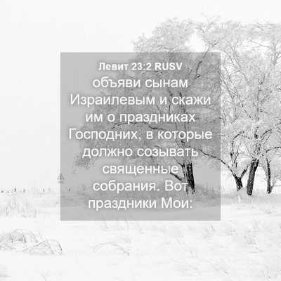 Picture 04 - Левит 23:2 RUSV - объяви сынам Израилевым и - Bible Verse Picture