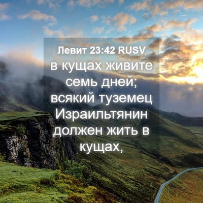 Picture 04 - Левит 23:42 RUSV - в кущах живите семь дней; - Bible Verse Picture