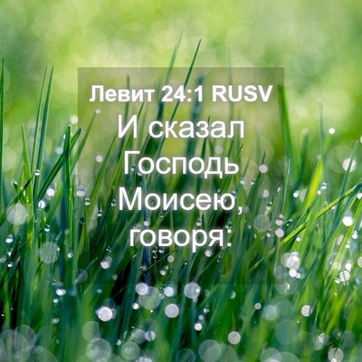 Picture 04 - Левит 24:1 RUSV - И сказал Господь Моисею, - Bible Verse Picture