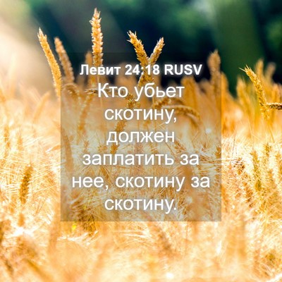 Picture 04 - Левит 24:18 RUSV - Кто убьет скотину, должен - Bible Verse Picture