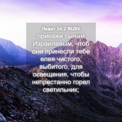 Picture 04 - Левит 24:2 RUSV - прикажи сынам Израилевым, - Bible Verse Picture