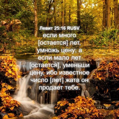 Picture 04 - Левит 25:16 RUSV - если много [остается] лет, - Bible Verse Picture