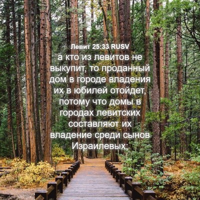 Picture 04 - Левит 25:33 RUSV - а кто из левитов не - Bible Verse Picture
