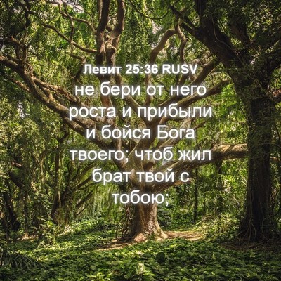 Picture 04 - Левит 25:36 RUSV - не бери от него роста и - Bible Verse Picture
